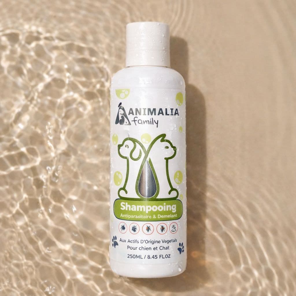 Shampooing Antiparasitaire & Démêlant
